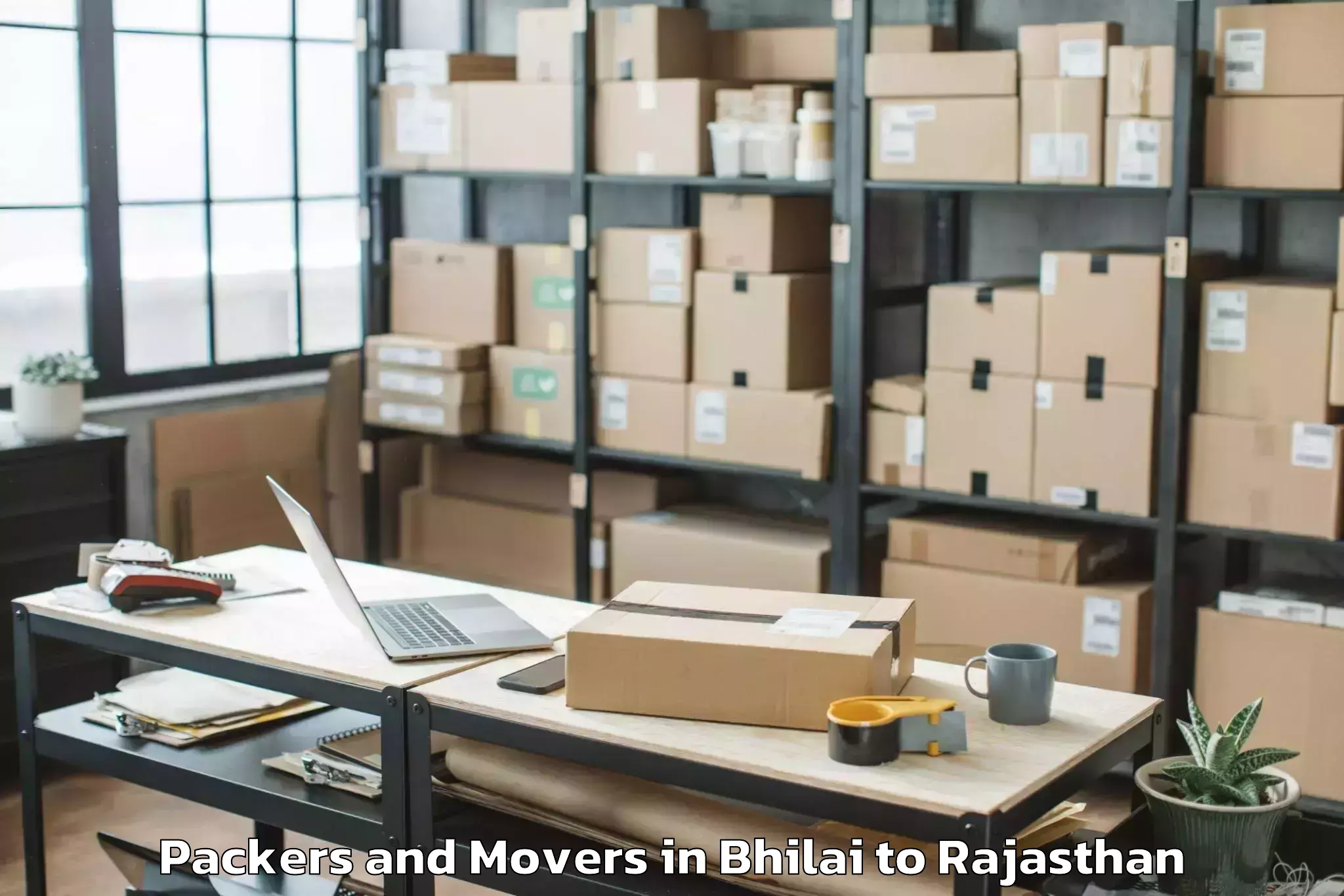 Reliable Bhilai to Chhoti Sadri Packers And Movers